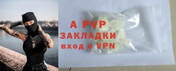 спайс Арсеньев