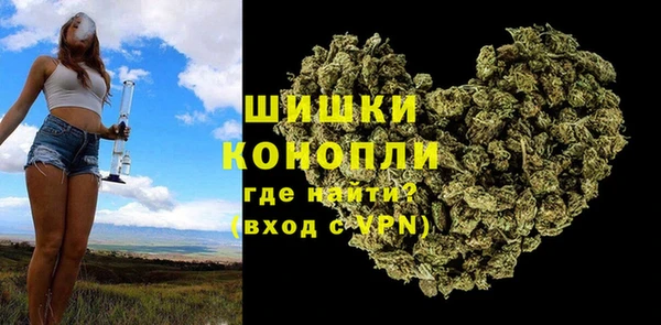 спайс Арсеньев