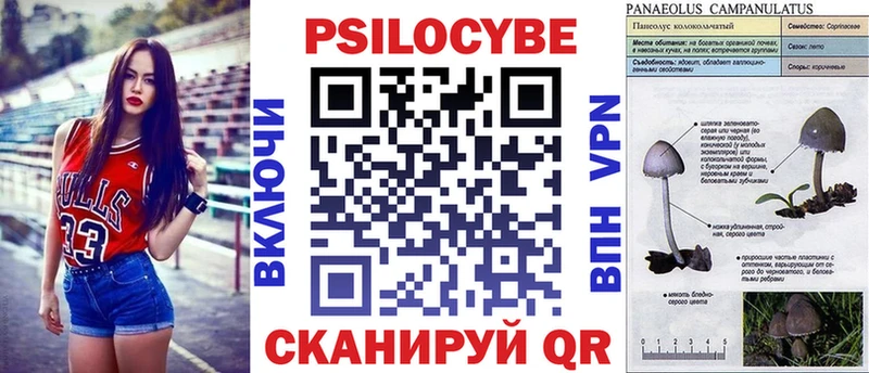 Псилоцибиновые грибы MAGIC MUSHROOMS Свирск